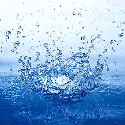 How does the AQwaVit Water Vitaliser work